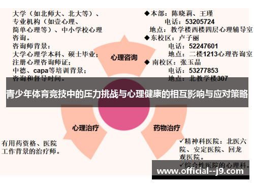 青少年体育竞技中的压力挑战与心理健康的相互影响与应对策略